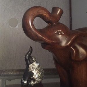 Meet your Posher, Isaura